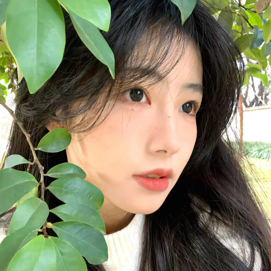 战火烈爱